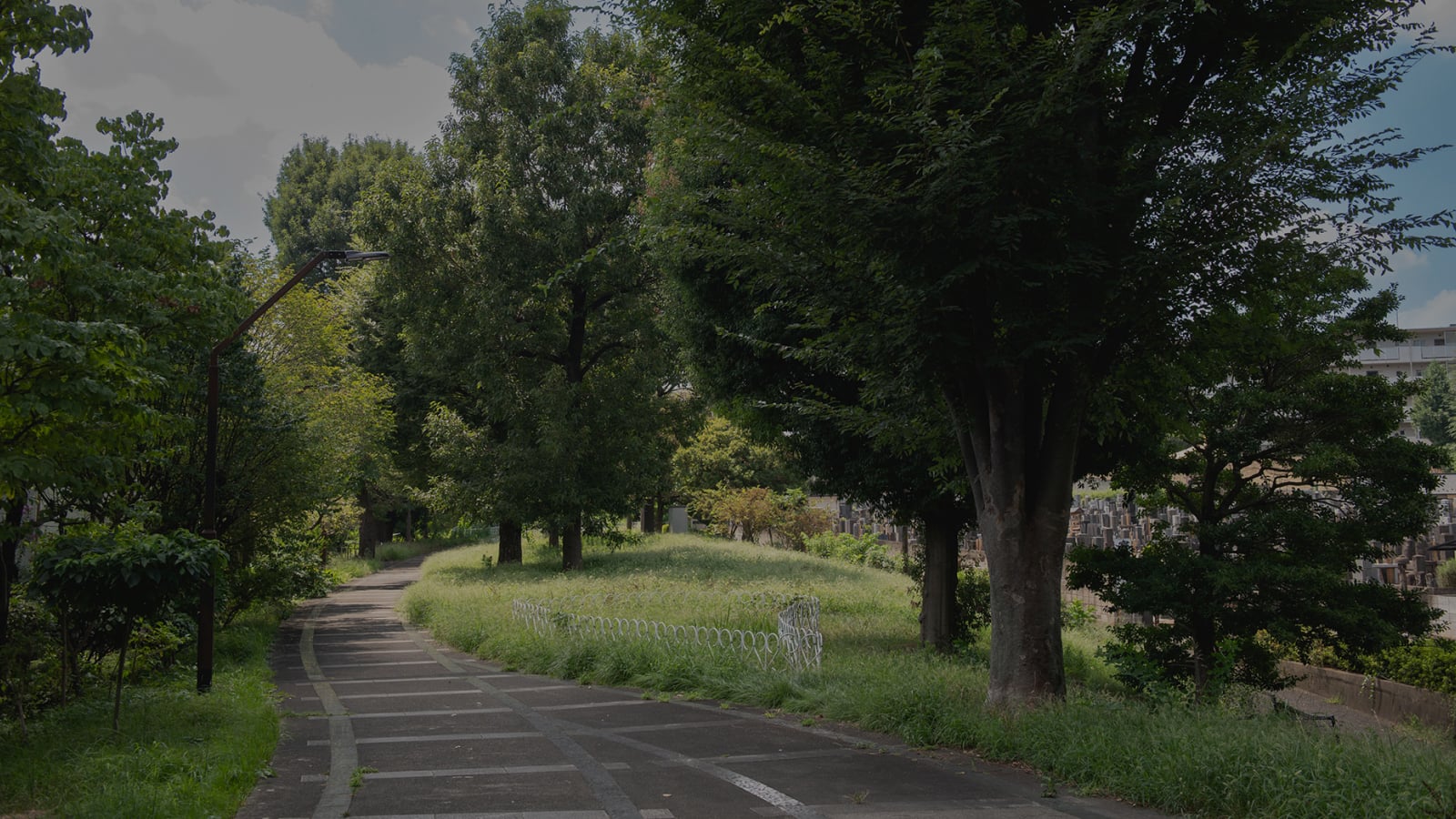 願徳寺 雰囲気イメージ
