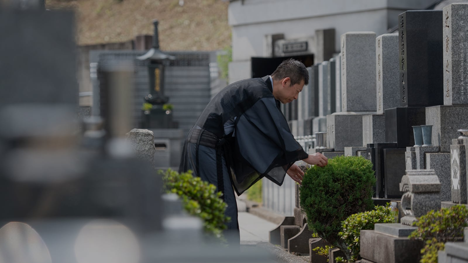 願徳寺 雰囲気イメージ