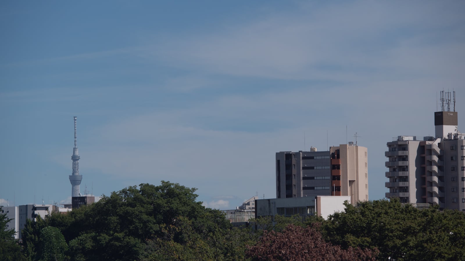 真宗大谷派願徳寺 周辺写真